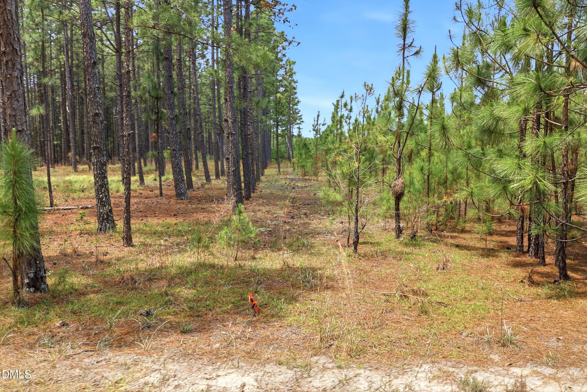 Pic 24 - 0 Flowers Road, Jackson Springs, NC 27281