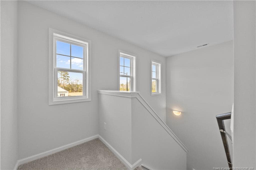 Photo 19 - 372 Hookbill (Lot 106) Lane, Lillington, NC 27546