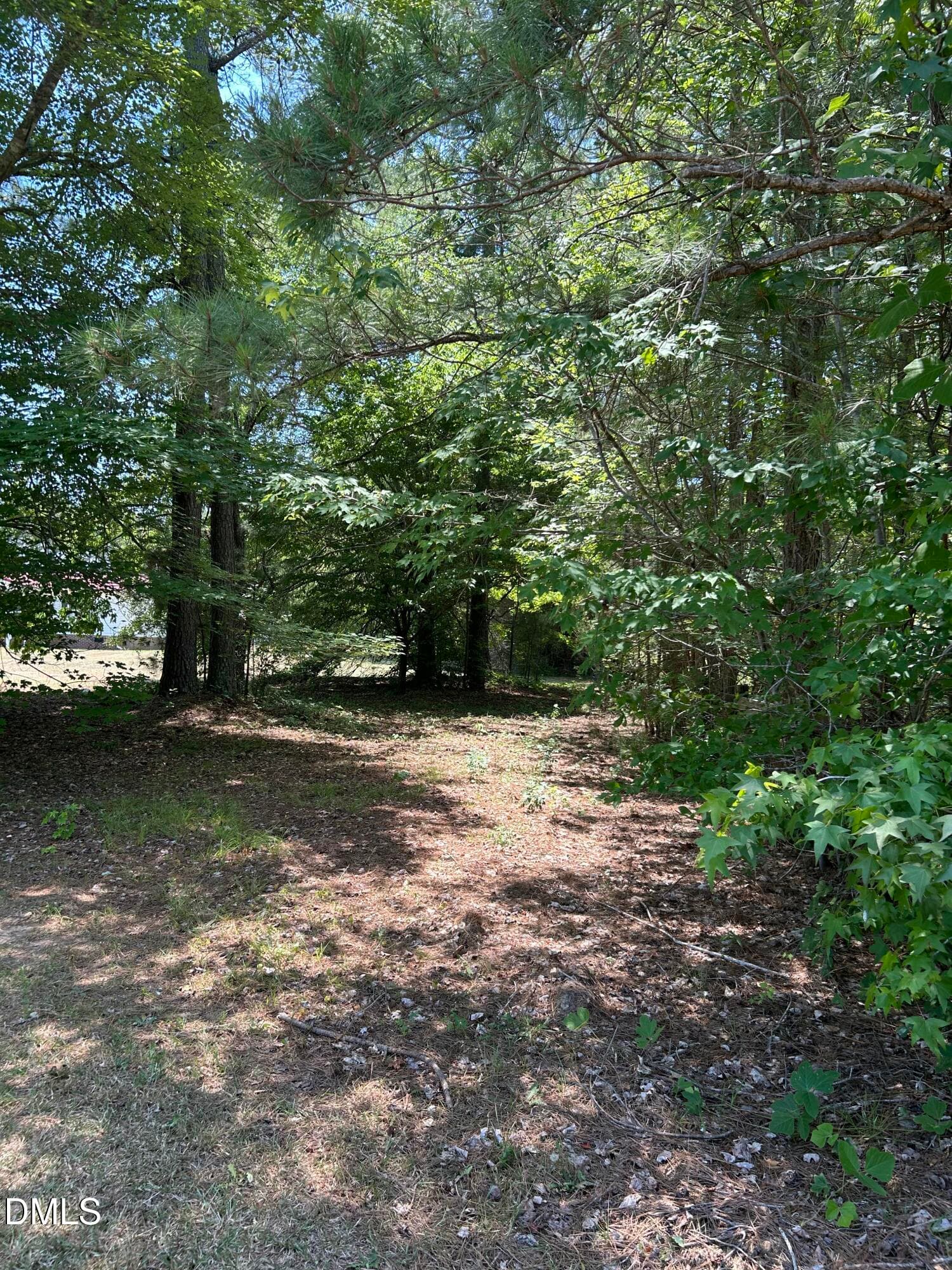 IMG_0207 - 9731 Old Middlesex Road, Middlesex, NC 27557