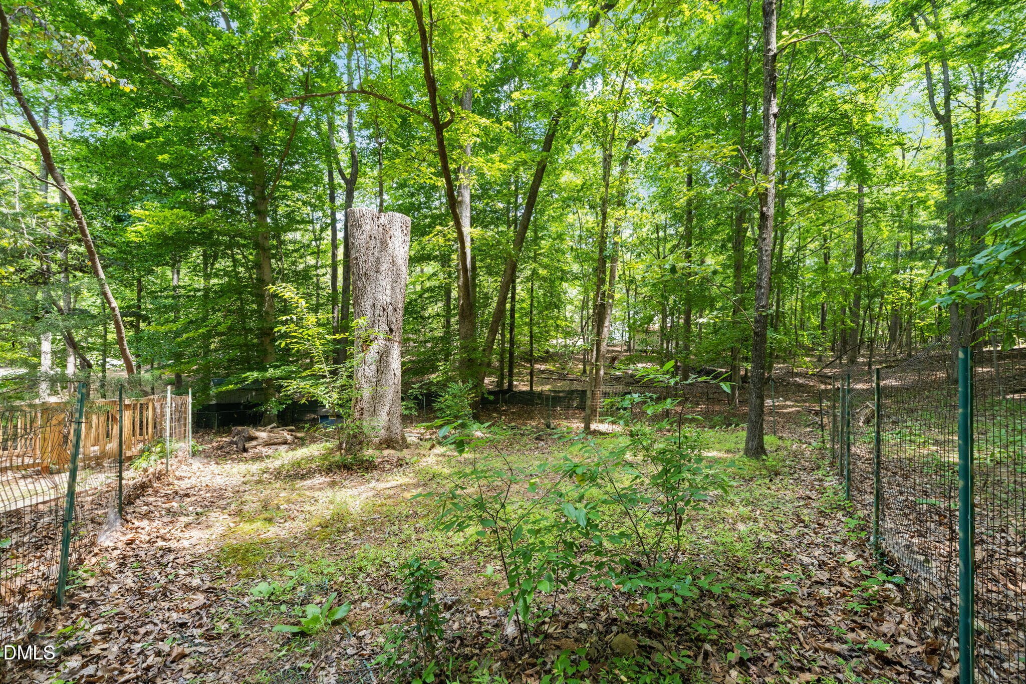 38-web-or-mls-untitled-6 (2) - 3311 Alex Drive, Hillsborough, NC 27278, Hillsborough