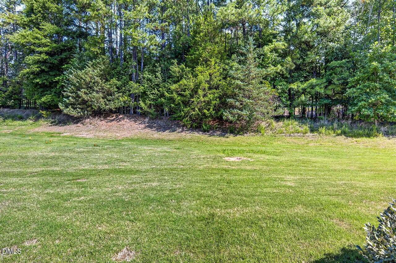 Rear View - 1124 Nicklaus Drive, Durham, NC 27705, Durham