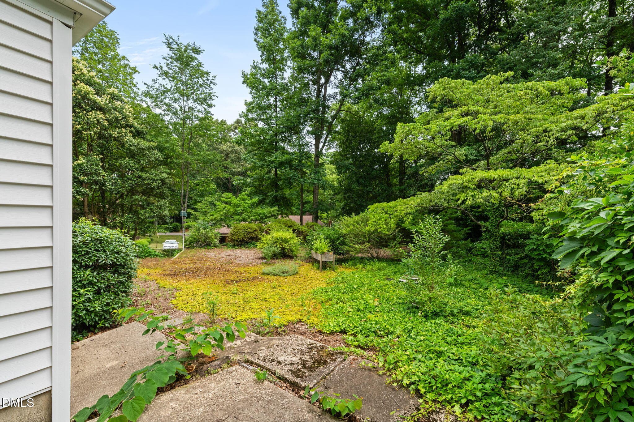 Backyard - 1103 Warren Avenue, Cary, NC 27511, Cary