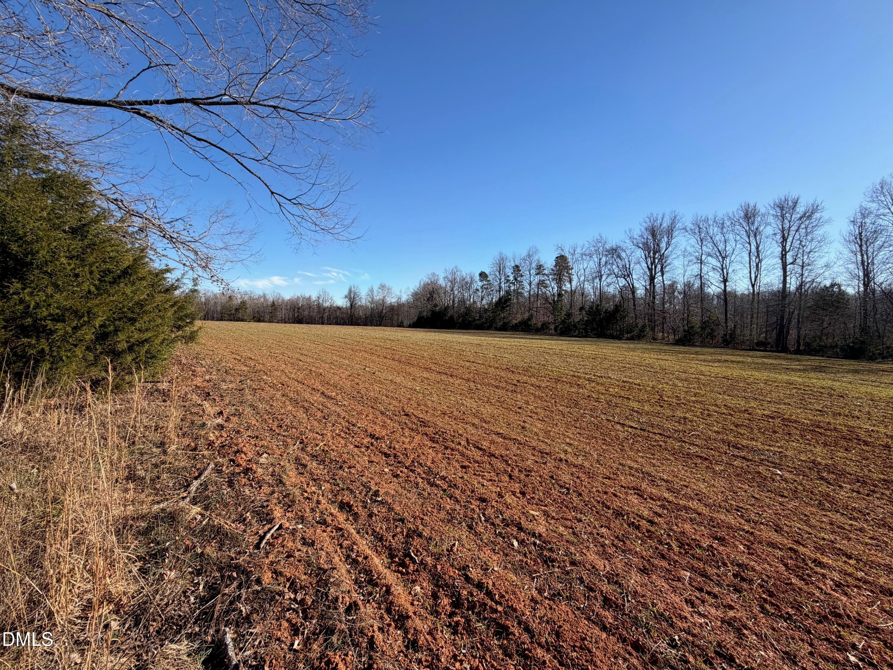 IMG_9166 - 475 Lewis Winstead Lp Road, Roxboro, NC 27574