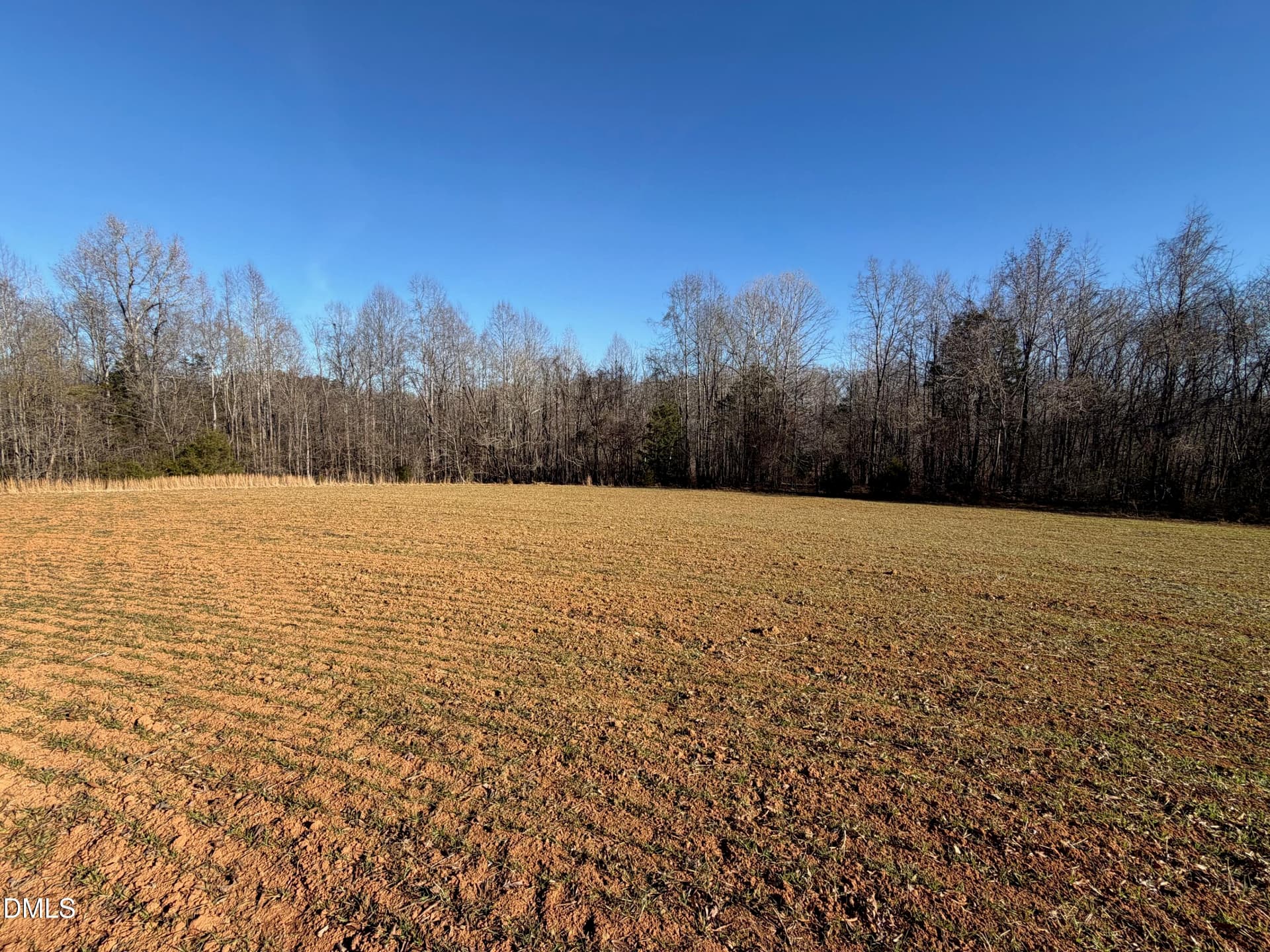 IMG_9173 - 475 Lewis Winstead Lp Road, Roxboro, NC 27574