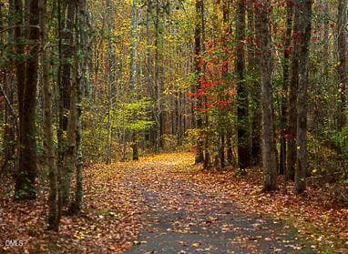 Cary greenway - 1103 Warren Avenue, Cary, NC 27511