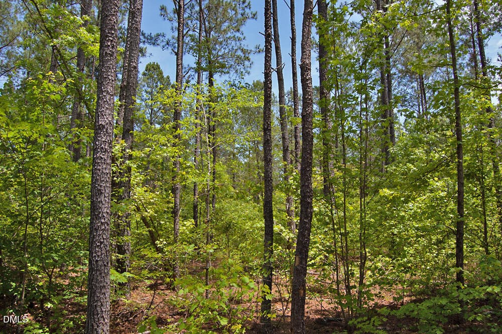 DSC_0849 - E G F Ball Road, Louisburg, NC 27549, Louisburg