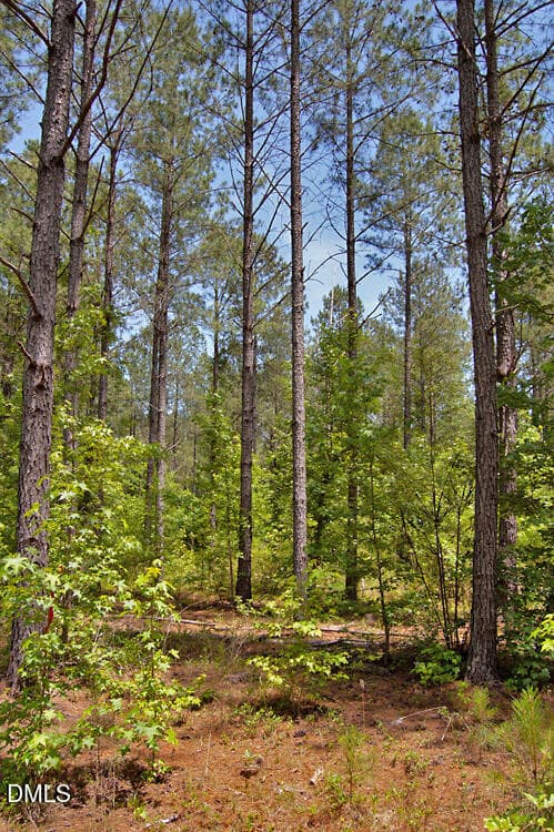 DSC_0852 - E G F Ball Road, Louisburg, NC 27549, Louisburg