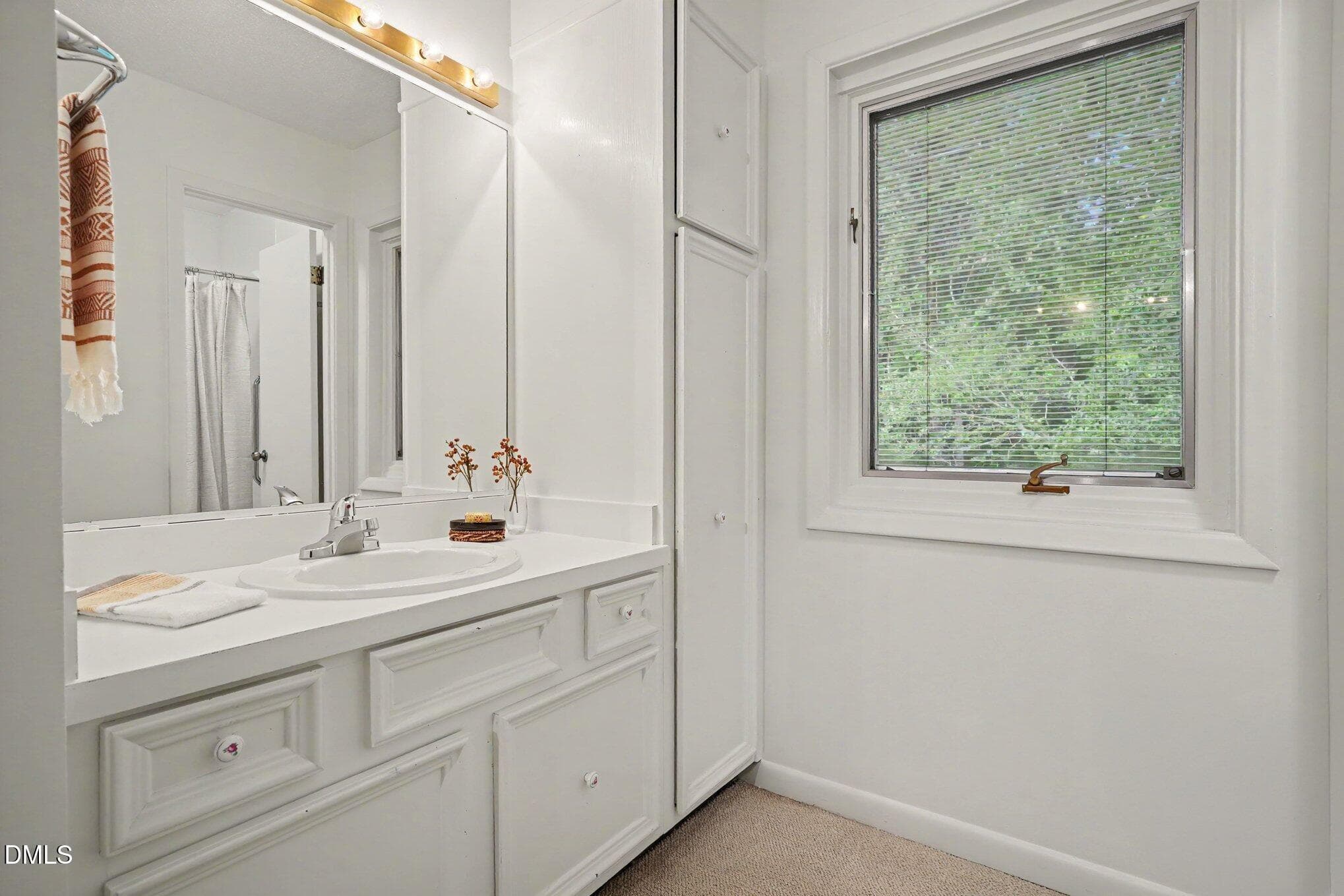 Master Vanity - 4100 Unit 36 Five Oaks Drive, Durham, NC 27707, Durham