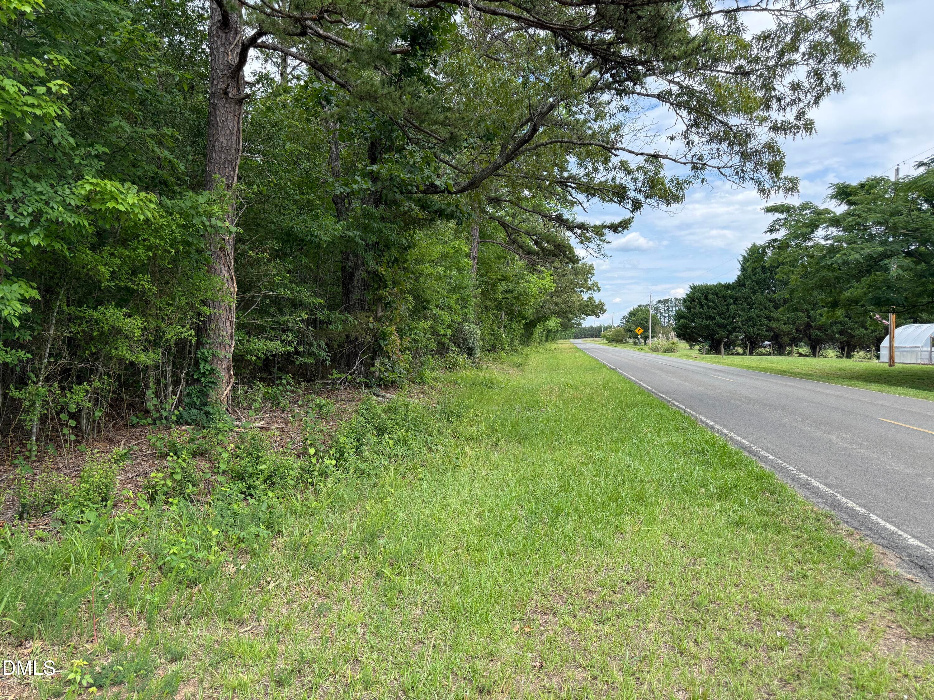 IMG_8951 - 000 Herbert Faucette Road, Bullock, NC 27507