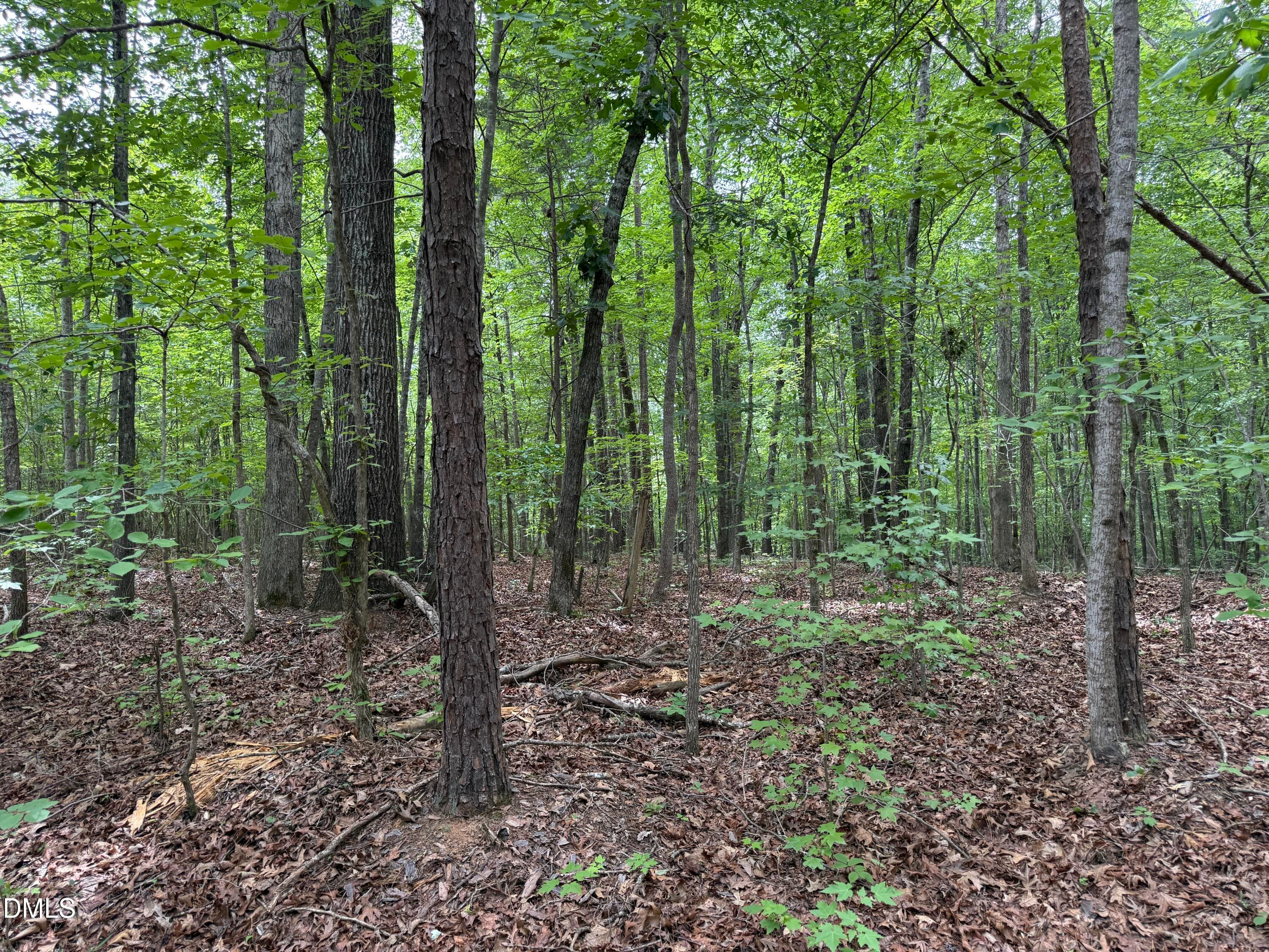 000 Herbert Faucette Road, Bullock, NC 27507