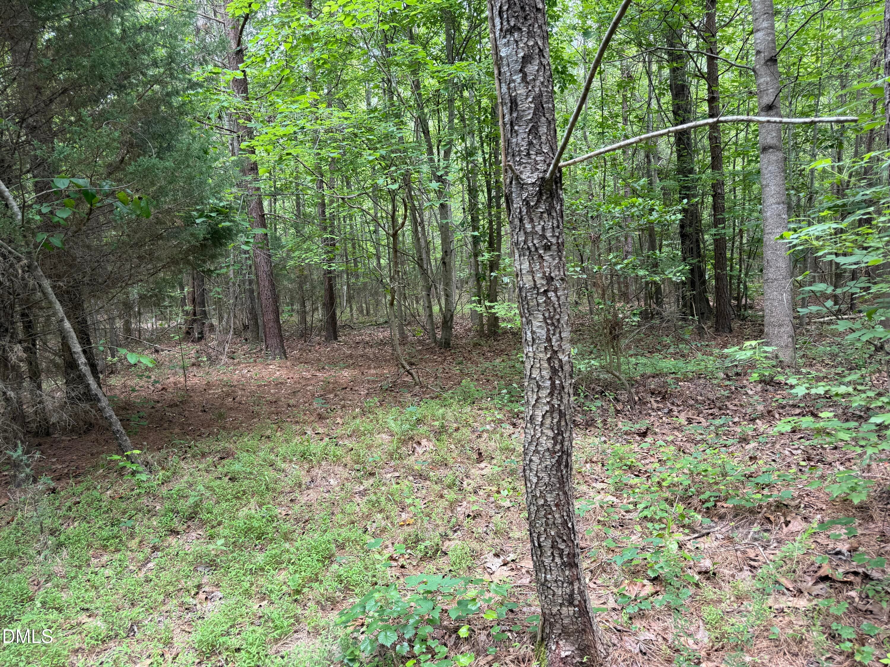 IMG_8943 - 000 Herbert Faucette Road, Bullock, NC 27507