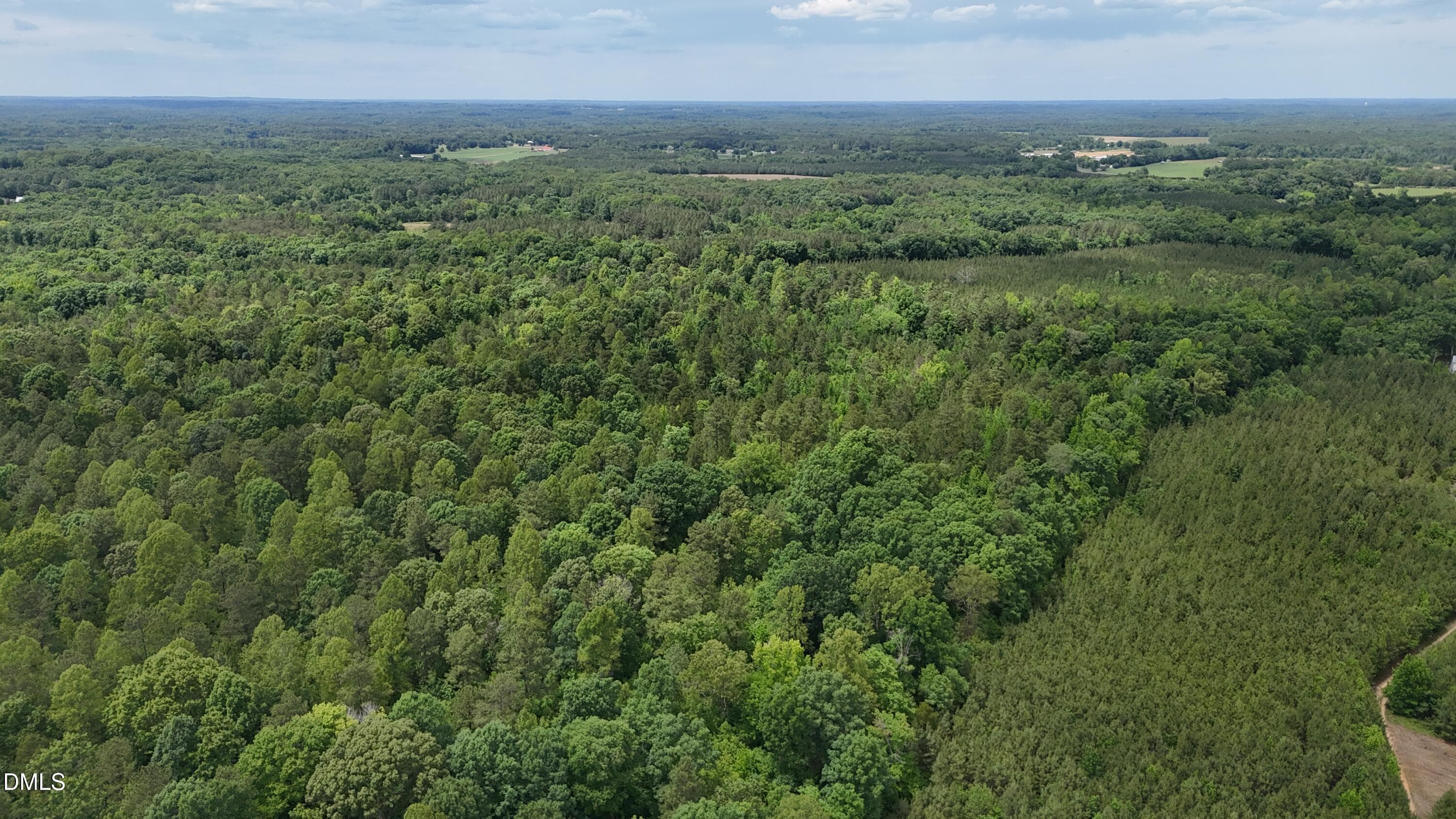 dji_fly_20260601_144116_0026_17803396401 - 000 Herbert Faucette Road, Bullock, NC 27507