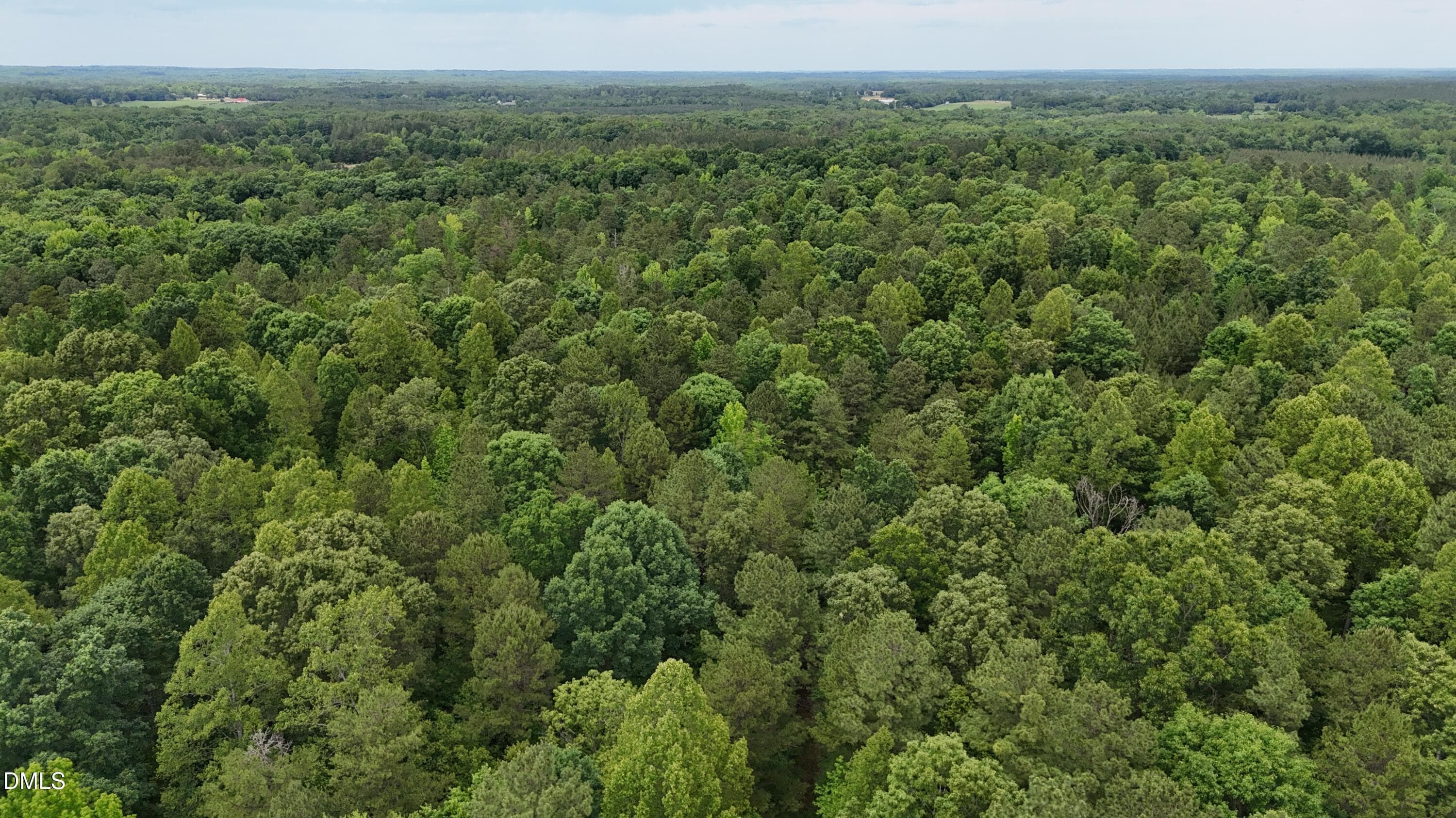 dji_fly_20260601_143838_0020_17803396416 - 000 Herbert Faucette Road, Bullock, NC 27507