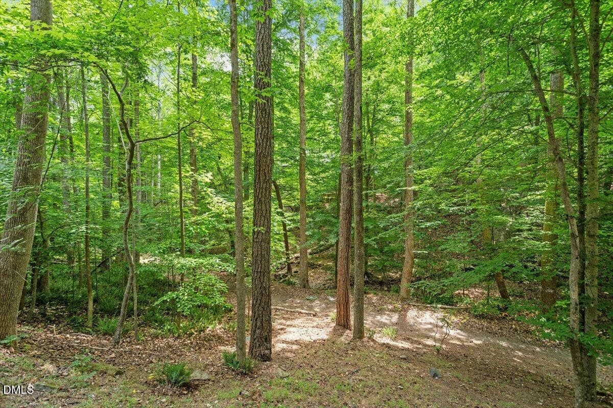 06-629 Brookview Dr [3145028]_06 - 629 Brookview Drive, Chapel Hill, NC 27514, Chapel Hill