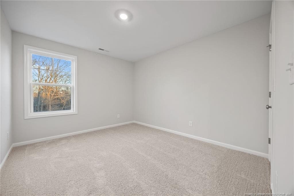 Photo 19 - 482 Black Duck (Lot 75) Lane, Lillington, NC 27546