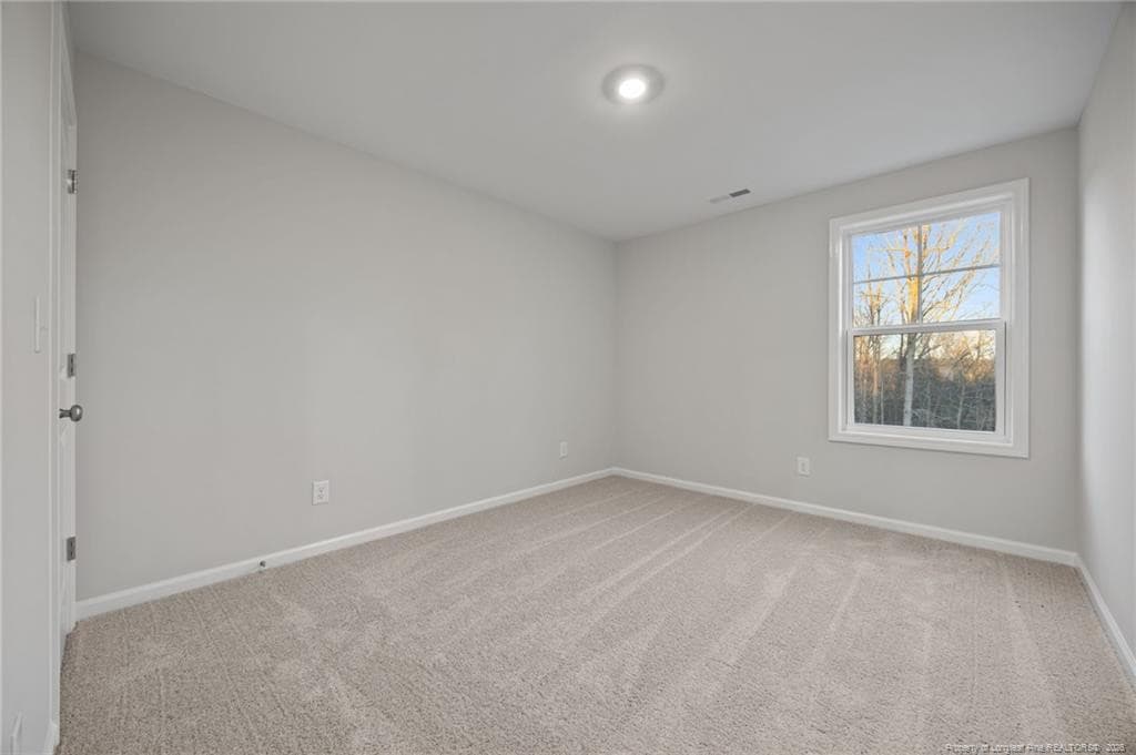 Photo 22 - 482 Black Duck (Lot 75) Lane, Lillington, NC 27546