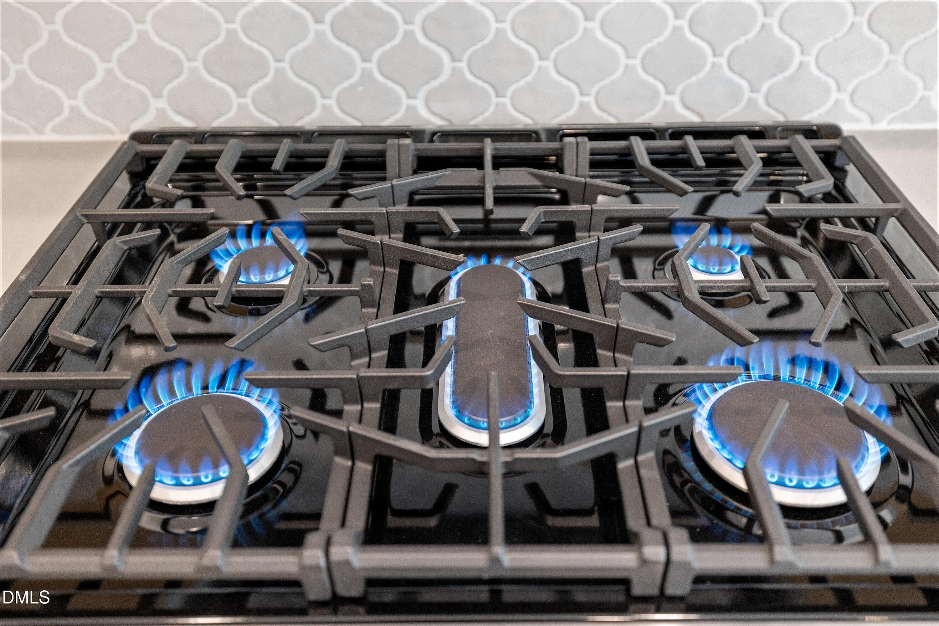 Gas range - 93 W Victoria Ridge Drive 30, Selma, NC 27576