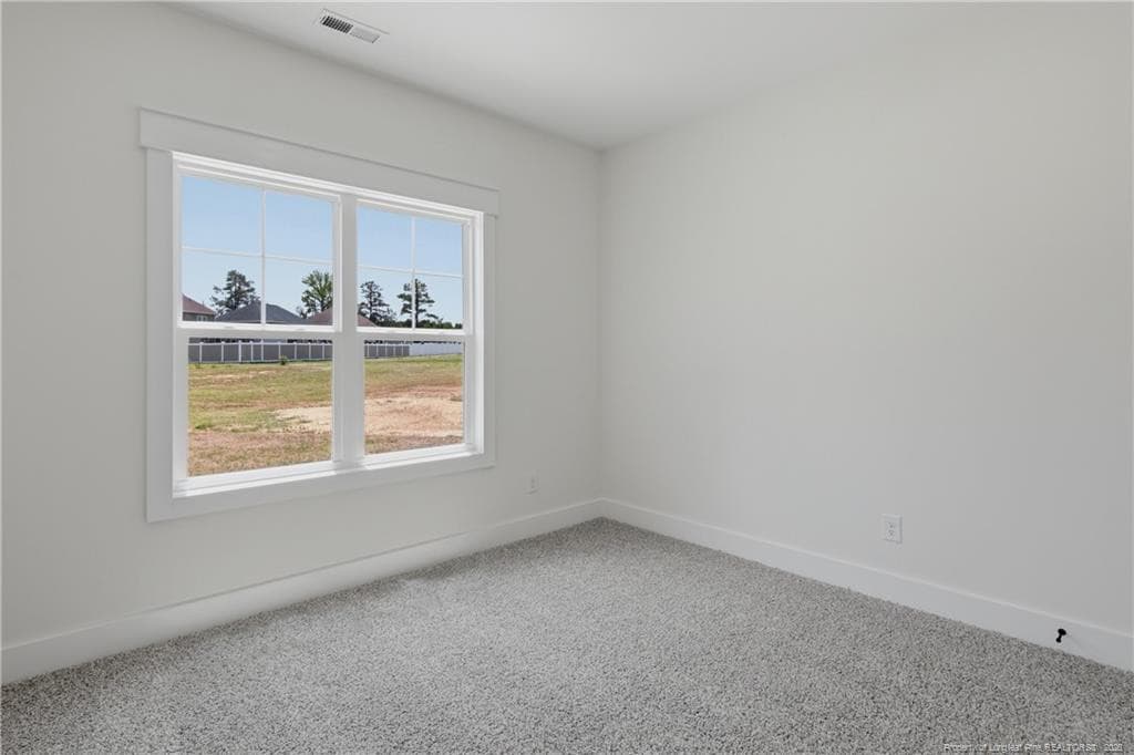 Photo 25 - 1915 Thomas Wood (Lot 104) Drive, Fayetteville, NC 28306, Fayetteville