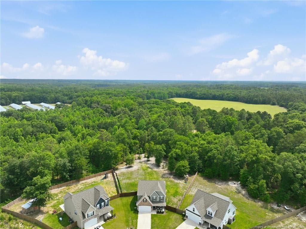Photo 45 - 218 Woodsrun Street, Raeford, NC 28376