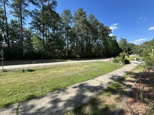 Sideyard Sidewalk Area - 6813 Barbee Road, Durham, NC 27713, Durham