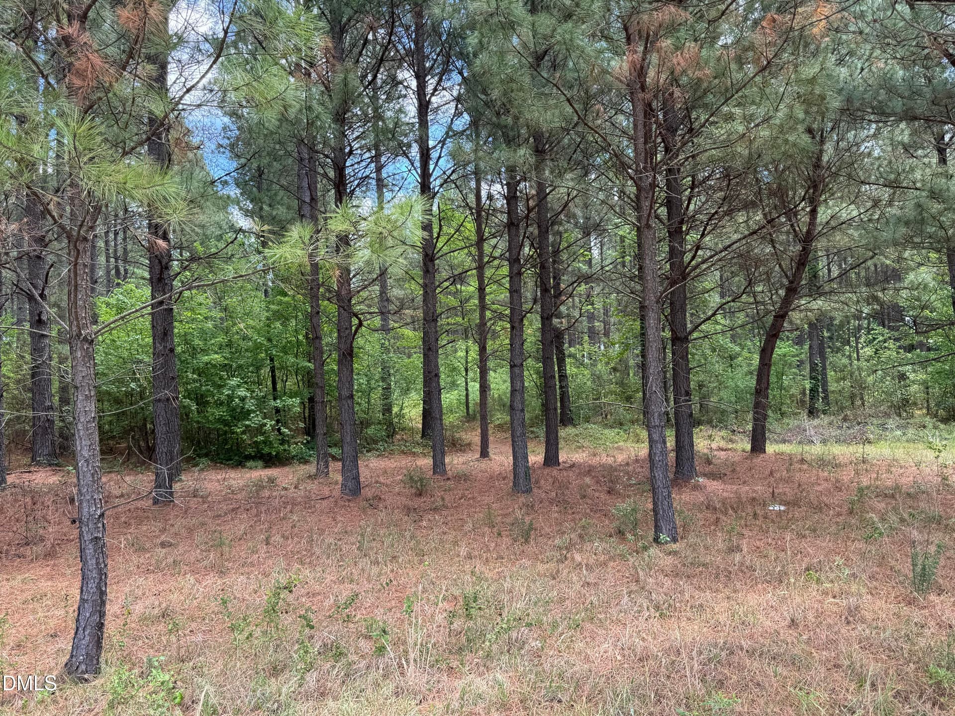 18.5 ac - Sherron Rd. - Established Tree - 1287 Sherron Road, Durham, NC 27703
