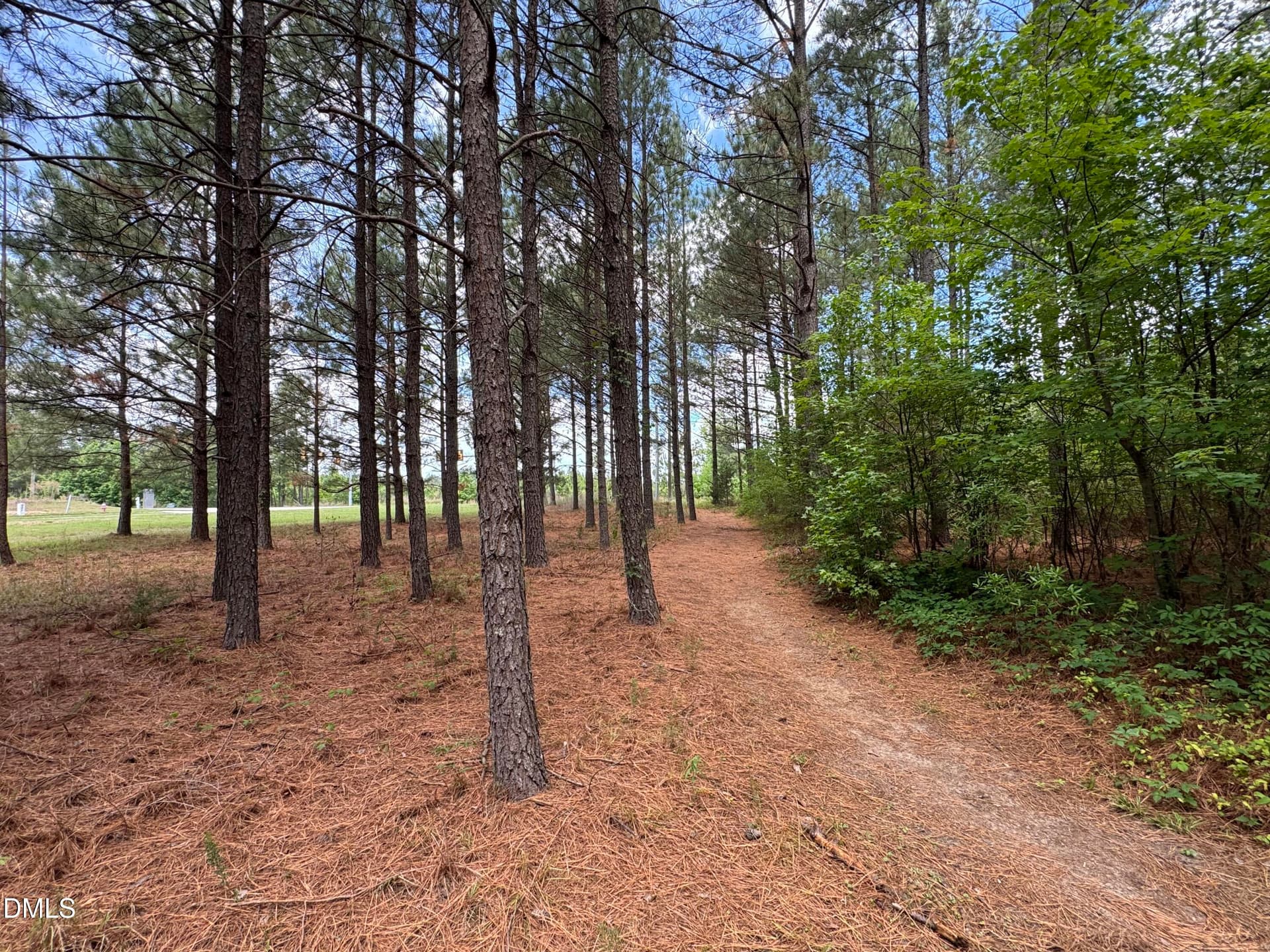 18.5 acres Sherron Rd. - Pines - 1287 Sherron Road, Durham, NC 27703