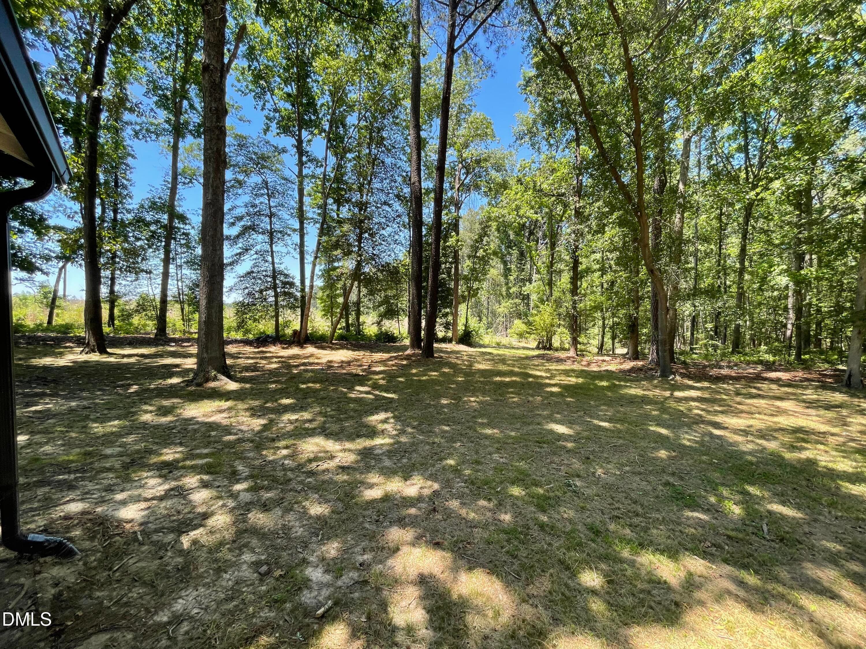 backyard left - 541 New Elam Church Road, Moncure, NC 27559