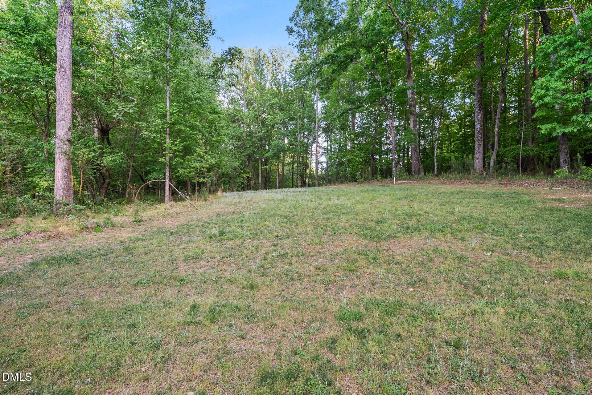 DSC06348 - 3440 Lilac Lane, Wake Forest, NC 27587