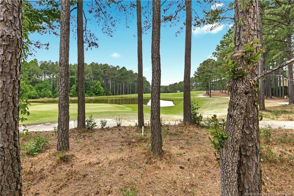 Photo 47 - 82 Pine Hawk Drive, Spring Lake, NC 28390