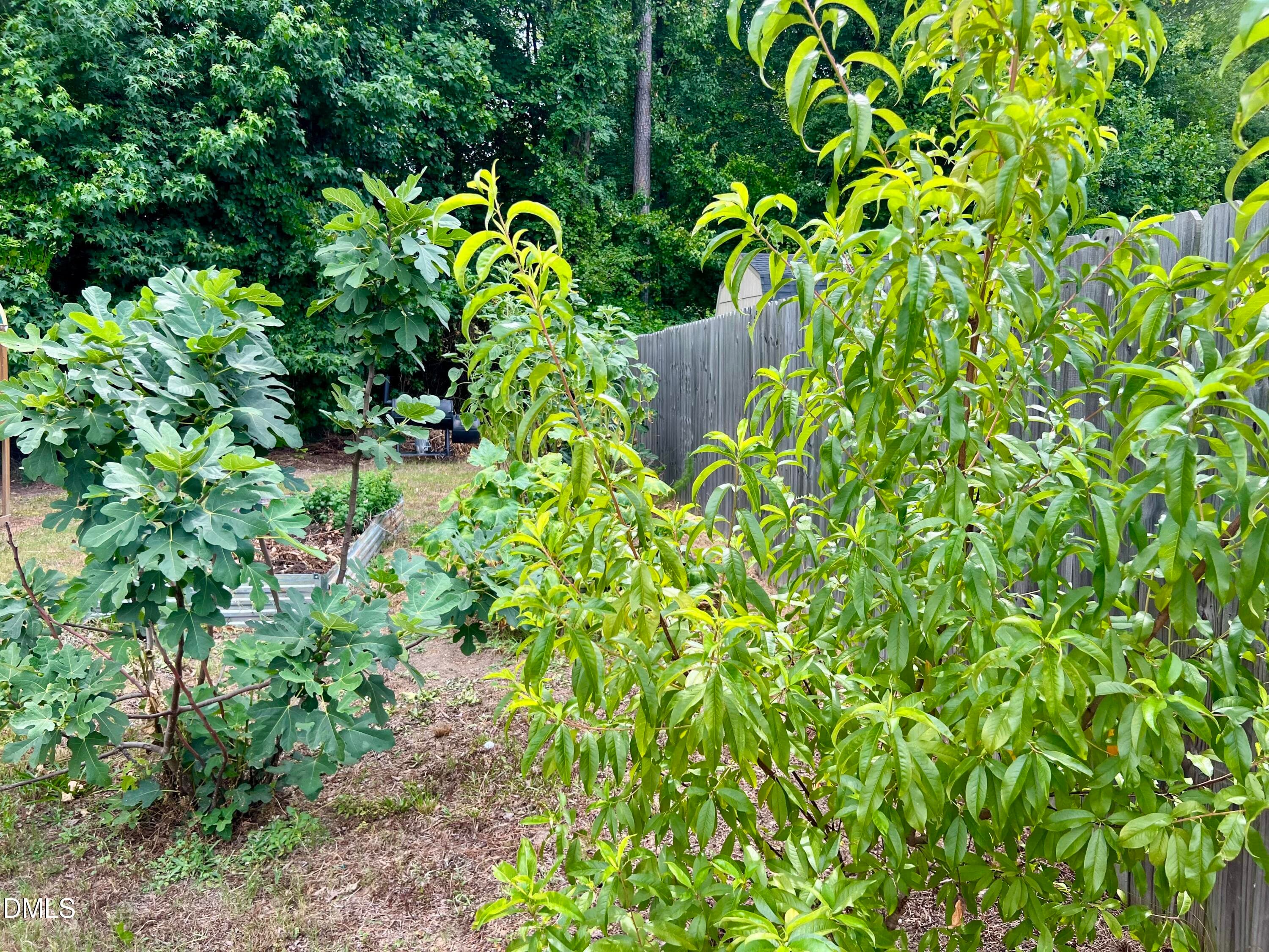 IMG_3419 - 143 Fawnbrook Drive, Four Oaks, NC 27524