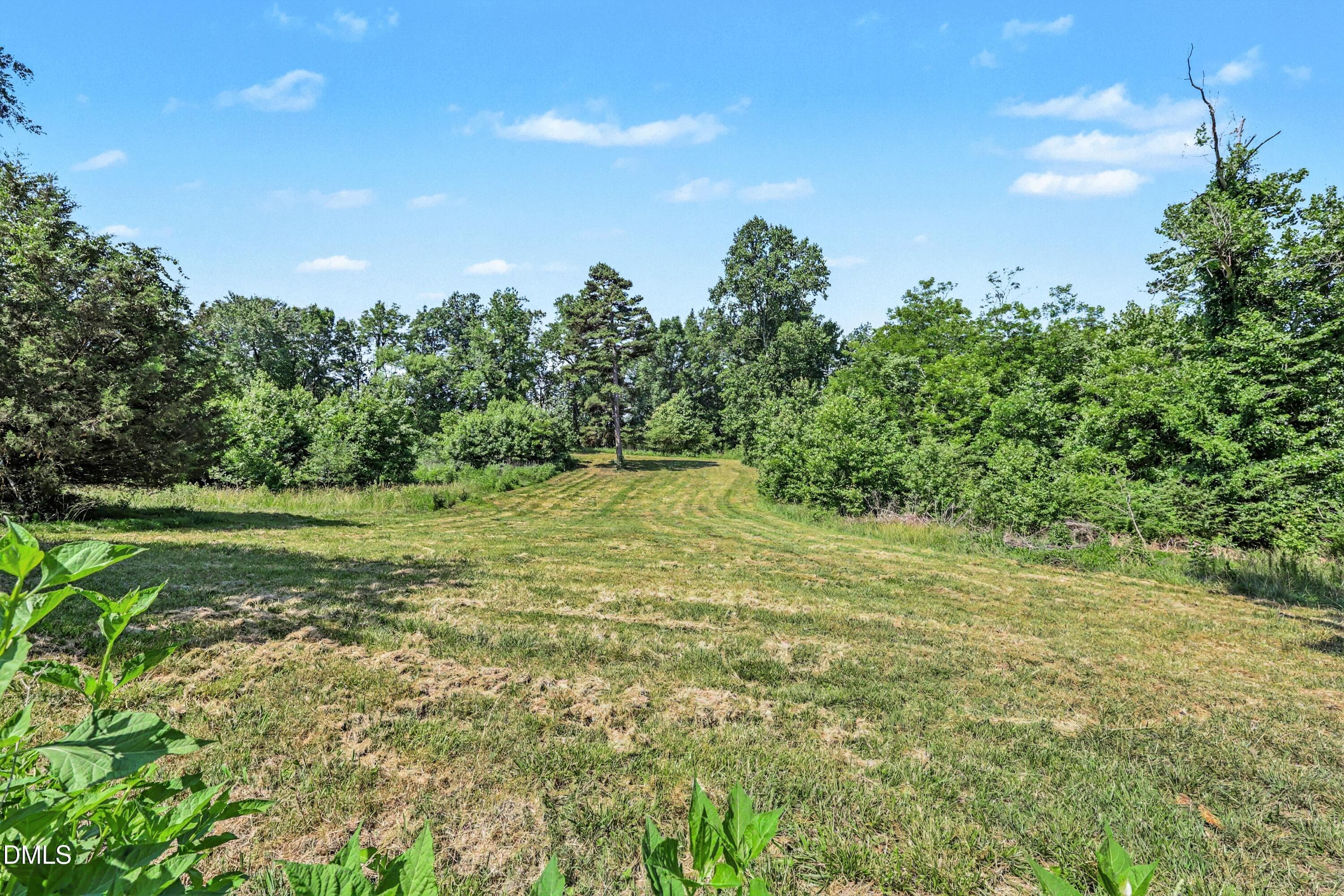 Back Pasture - 1310 Siler City Glendon Rd. Road, Siler City, NC 27344