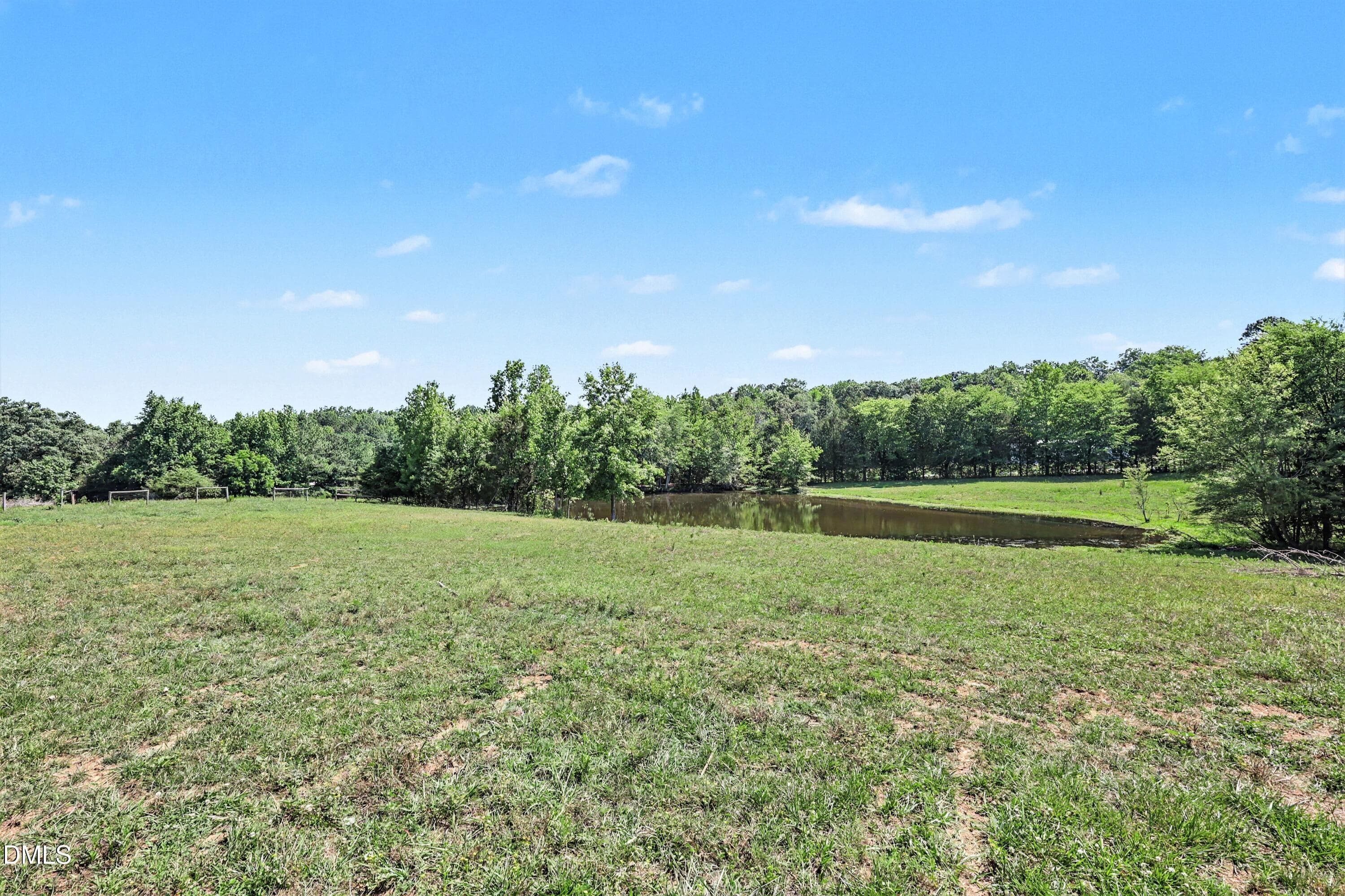 Front Pond View - 1310 Siler City Glendon Rd. Road, Siler City, NC 27344
