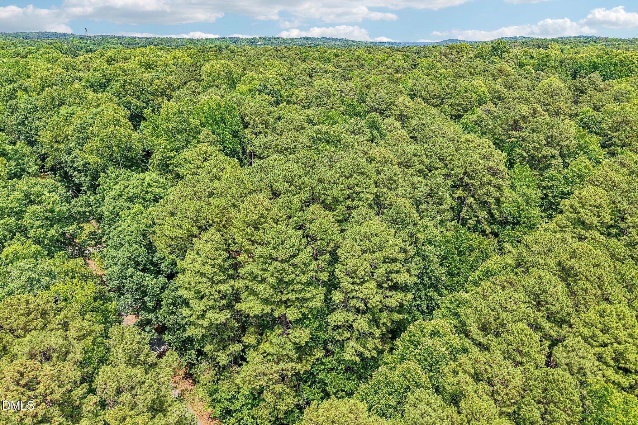35-web-or-mls-Stones Throw-S1706-035 - 111 Stones Throw, Chapel Hill, NC 27516, Chapel Hill