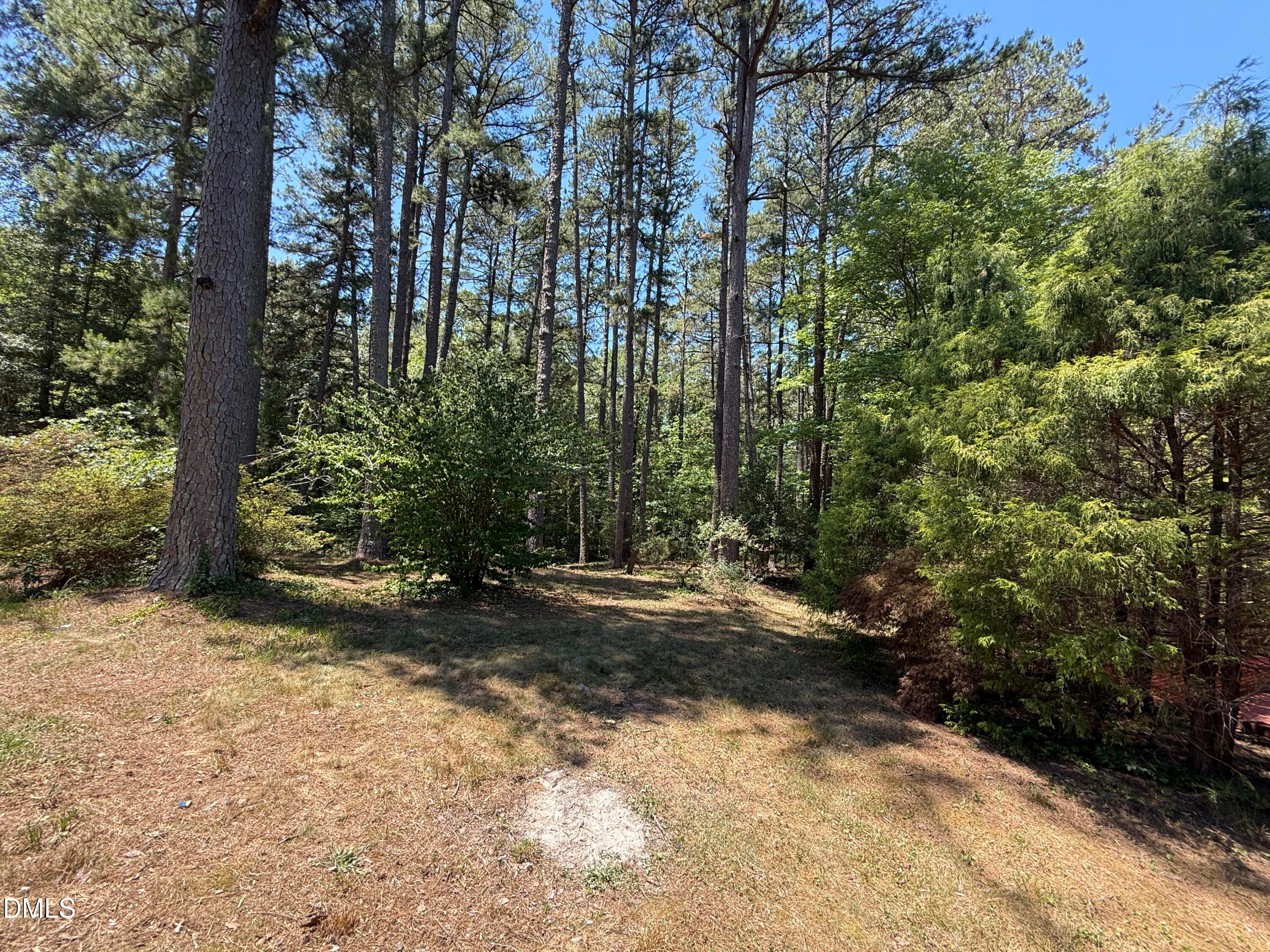 backyard - 174 Pine Cone Drive, Oxford, NC 27565
