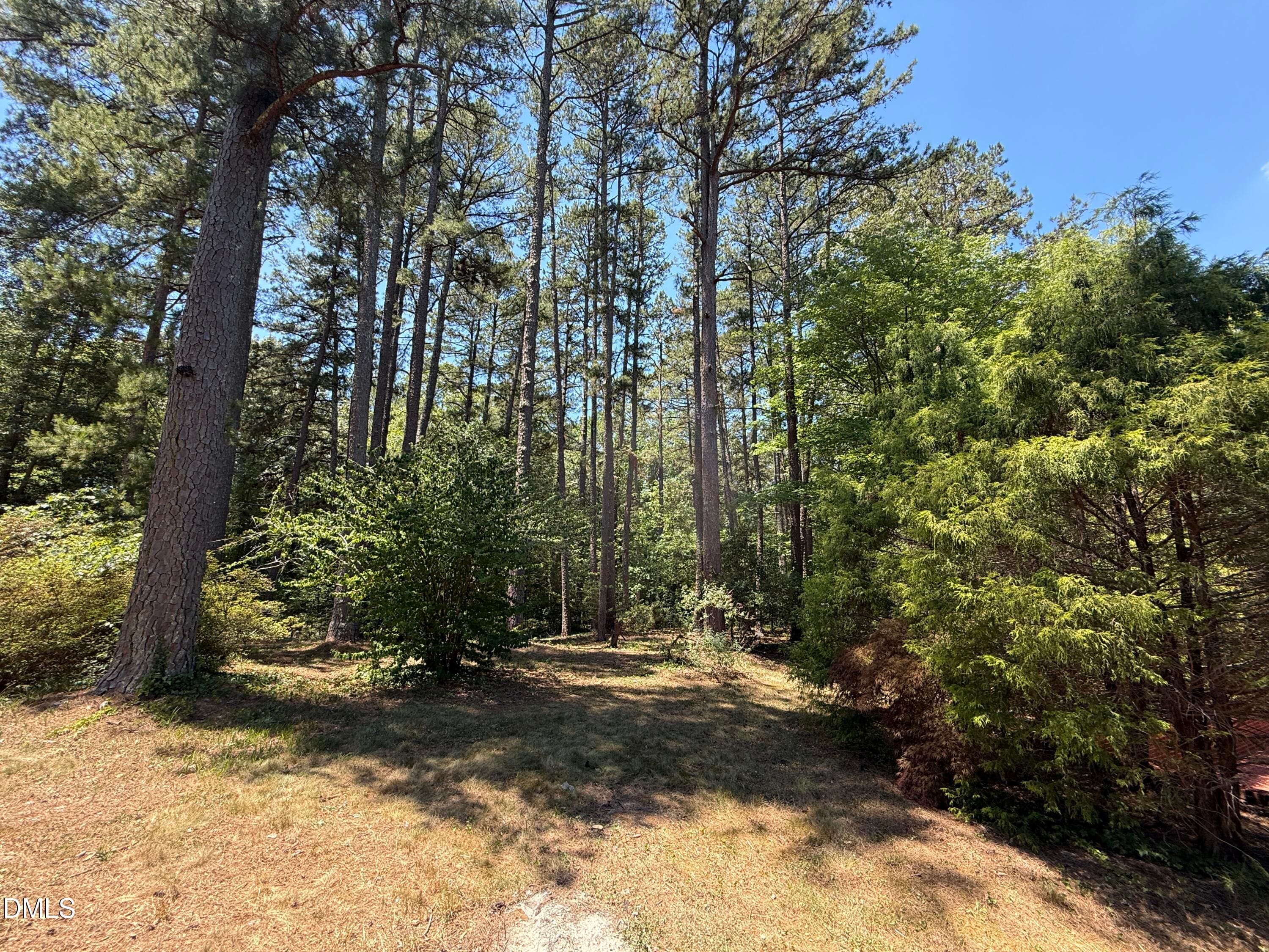 wooded bac - 174 Pine Cone Drive, Oxford, NC 27565