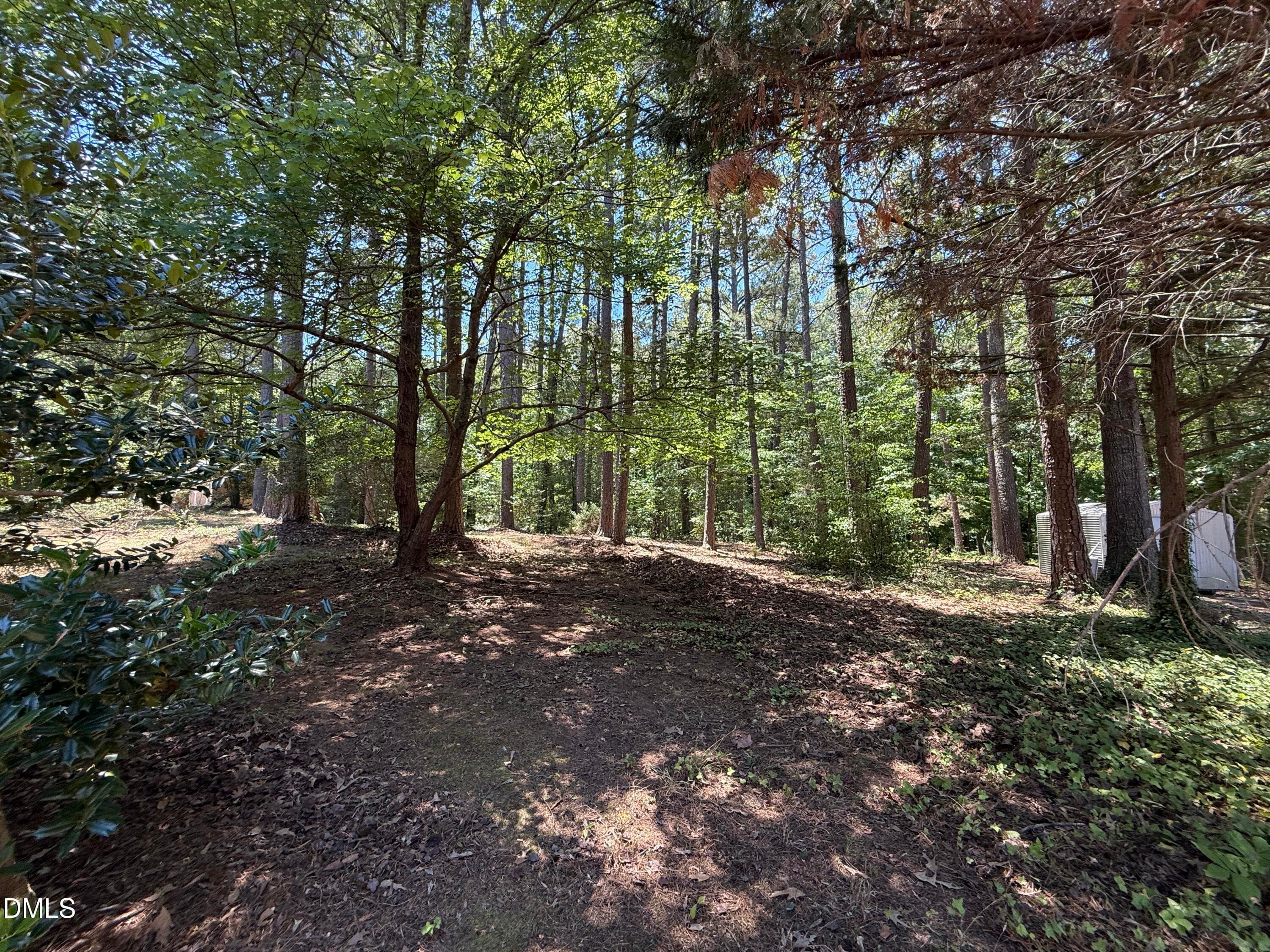 beautiful wooded back - 174 Pine Cone Drive, Oxford, NC 27565