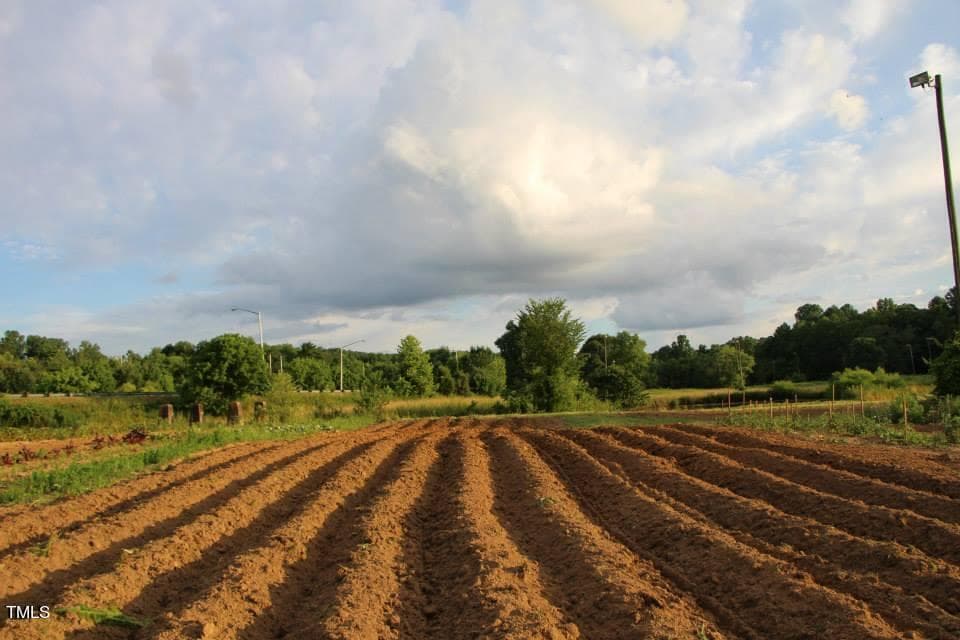 field at Johanne's - 3870 Bethania Station Road, Winston-Salem, NC, Winston-Salem