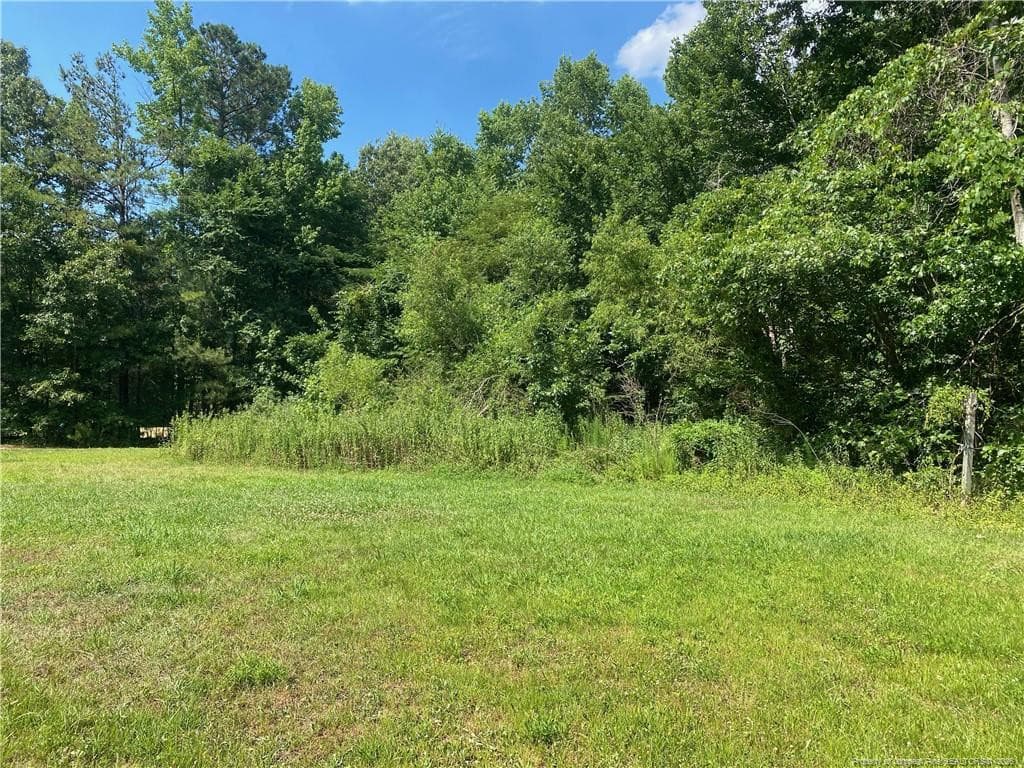 Photo 7 - 105 Waldorf Street, Ahoskie, NC 27910