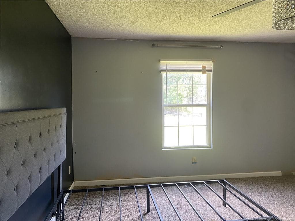 Photo 18 - 105 Waldorf Street, Ahoskie, NC 27910
