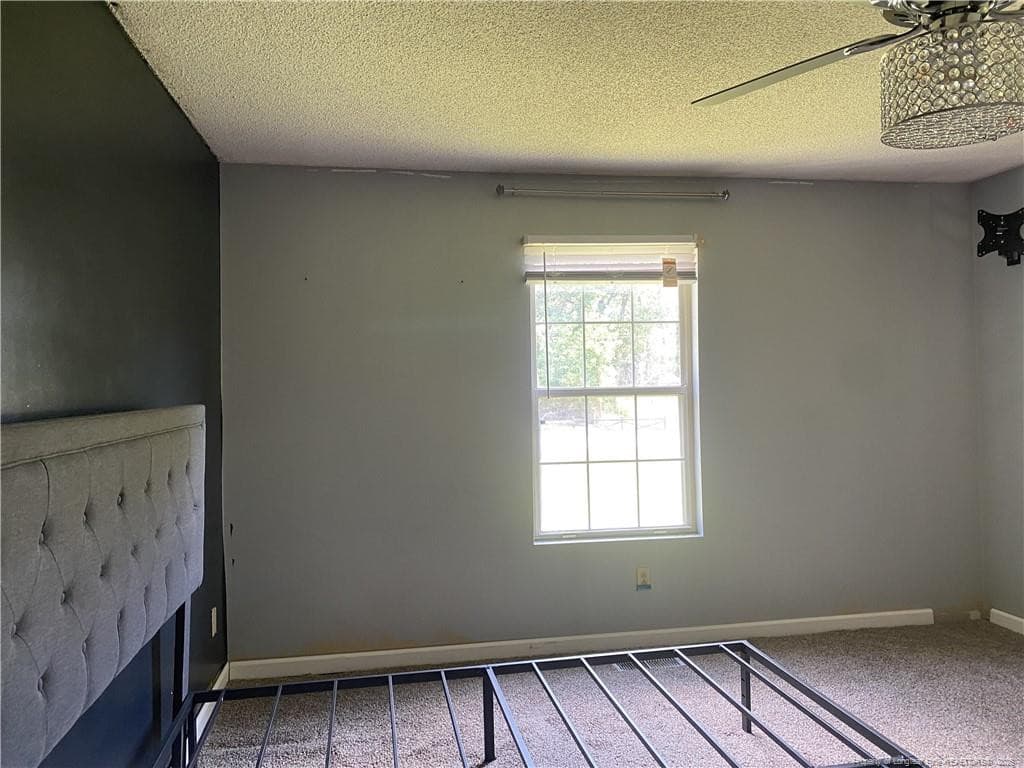 Photo 19 - 105 Waldorf Street, Ahoskie, NC 27910