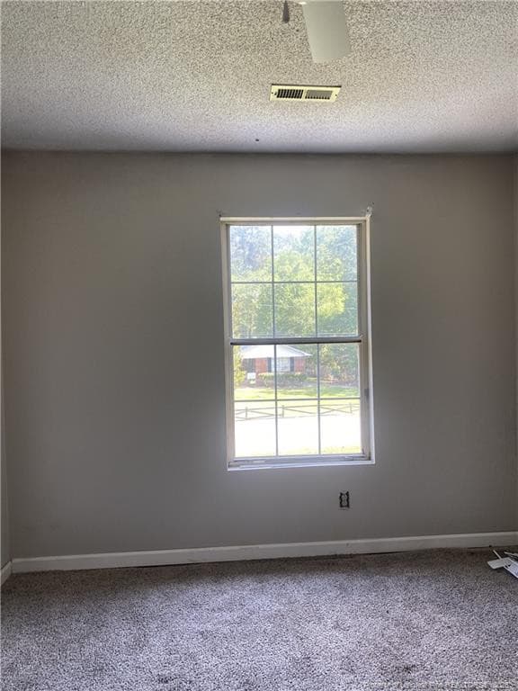 Photo 22 - 105 Waldorf Street, Ahoskie, NC 27910