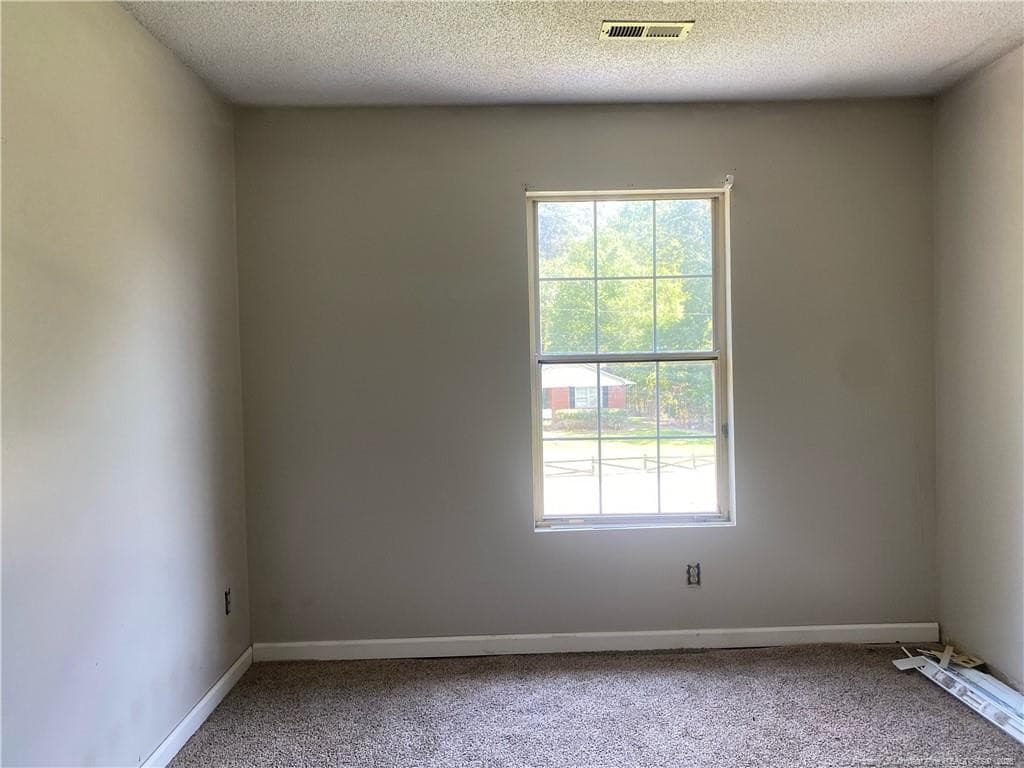 Photo 23 - 105 Waldorf Street, Ahoskie, NC 27910
