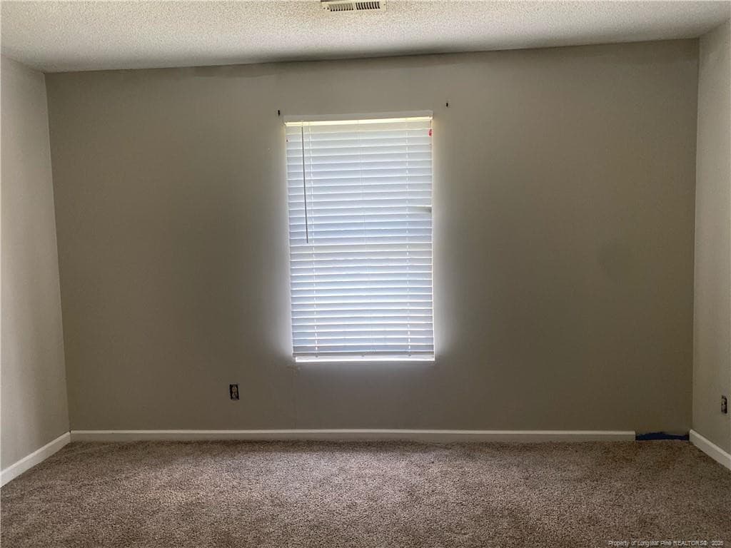 Photo 26 - 105 Waldorf Street, Ahoskie, NC 27910