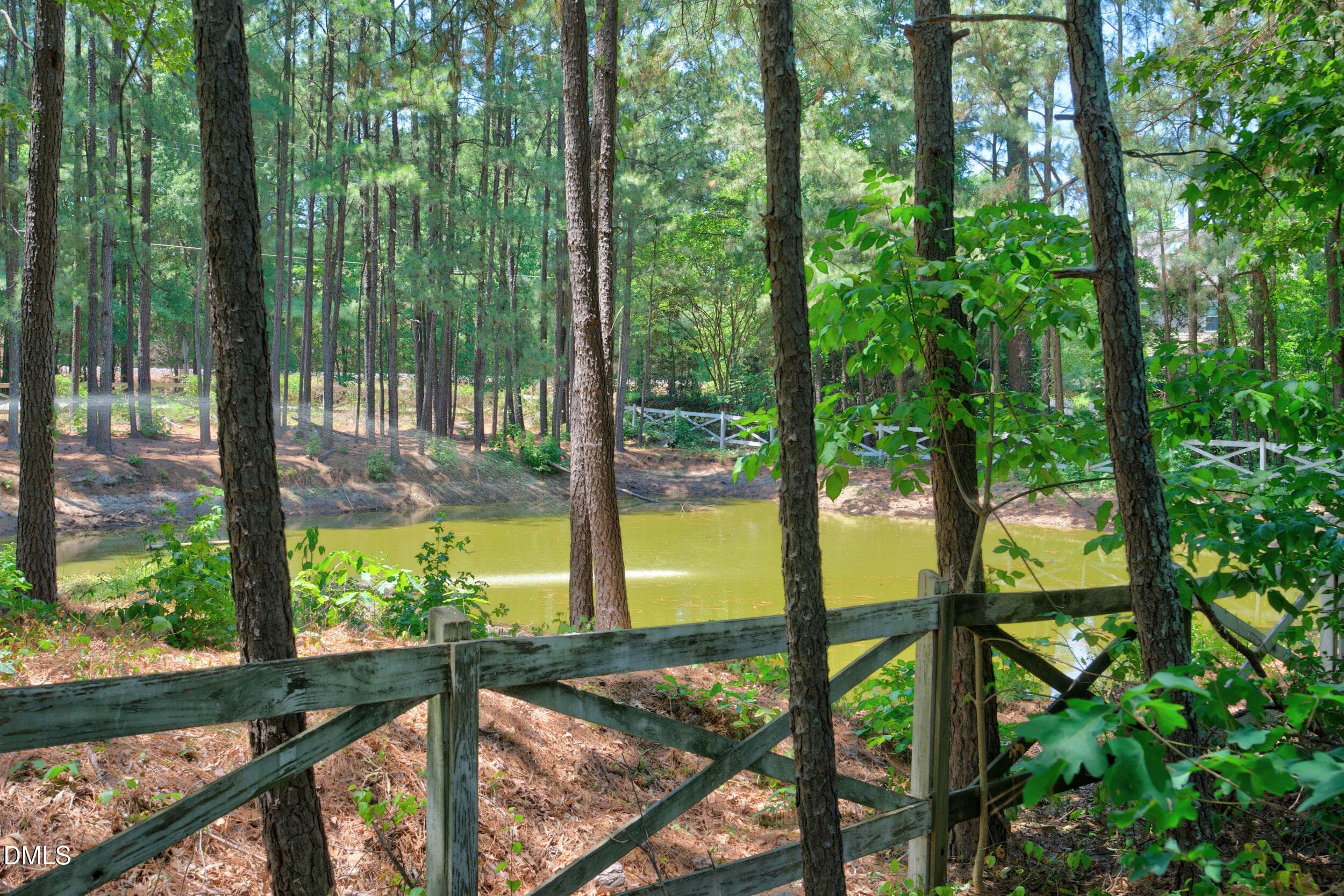 109_dsc07474 - 208 William Henry Way, Cary, NC 27519, Cary