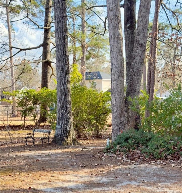 Photo 22 - 3025 Princeton Street, Lumberton, NC 28360
