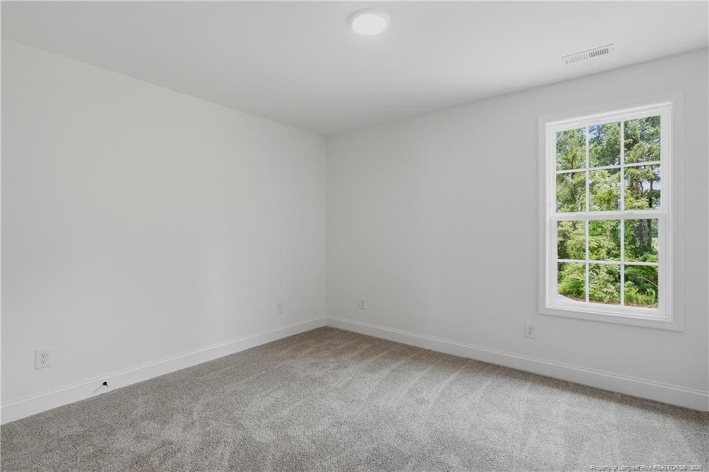 Photo 35 - 4284 Halkirk (Lot 307) Drive, Fayetteville, NC 28312, Fayetteville