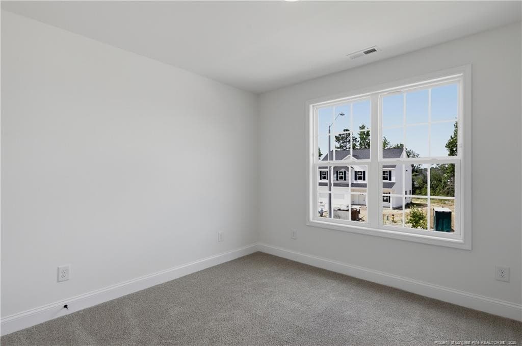 Photo 44 - 4284 Halkirk (Lot 307) Drive, Fayetteville, NC 28312, Fayetteville