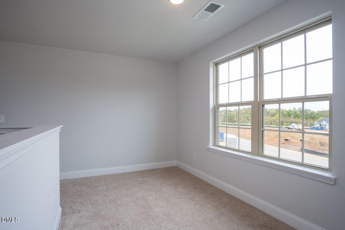 1200 (19) - 106 Jackson Rdg Way, Pikeville, NC 27863