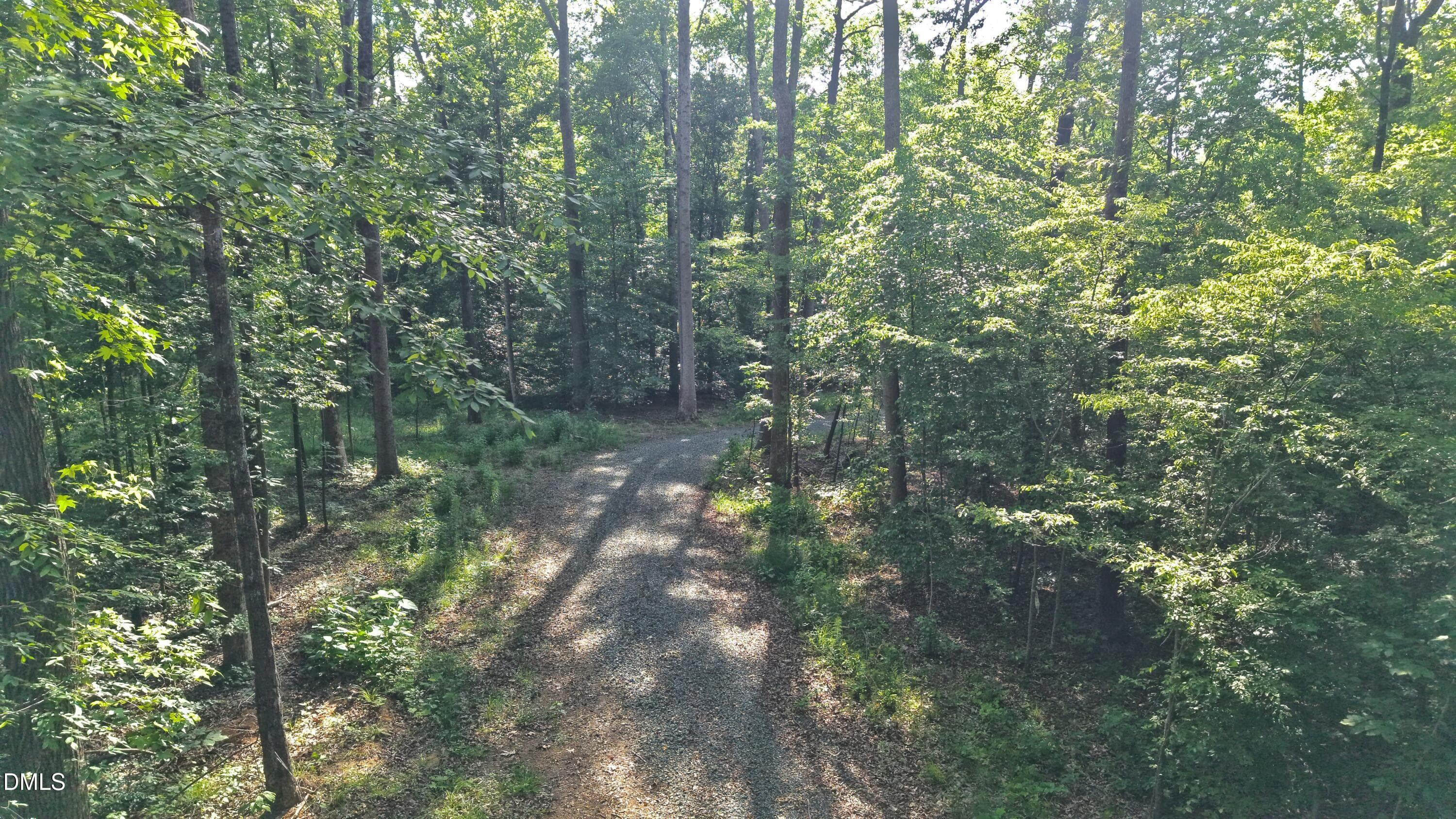 Driveway - Mid - 6810 Sawyer Road, Liberty, NC 27298