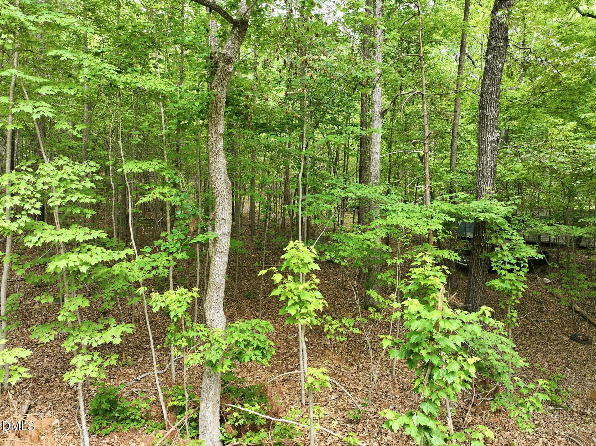1841 Dots Drive, Hillsborough, NC 27278